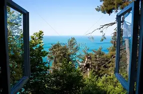 华盛顿奇才队又连败了